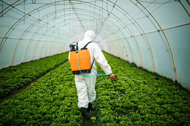 Best Pest Prevention Services  in Memphis, FL