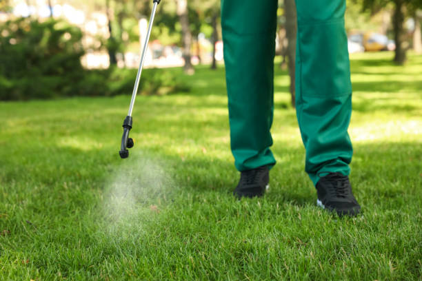 Best Pest Control Near Me  in Memphis, FL