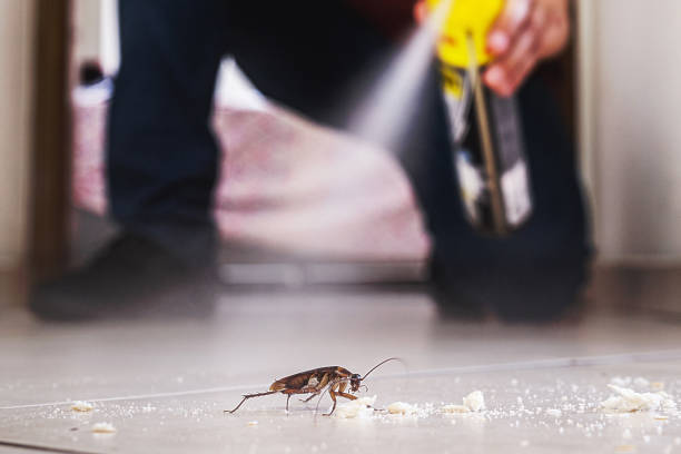 Best Pest Control for Businesses  in Memphis, FL