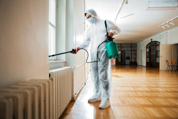 Best Rat Extermination Near Me  in Memphis, FL